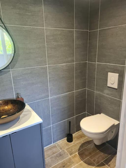 Le Chalet Des Amis Aurec-Sur-Loire Ngoại thất bức ảnh